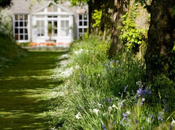 east-looe-valley-feature East Looe Valley Walk