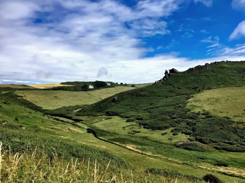 River Sid & Soldiers Hill Walk