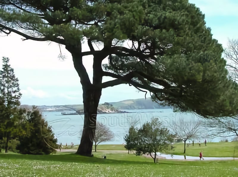 Mount Edgecumbe