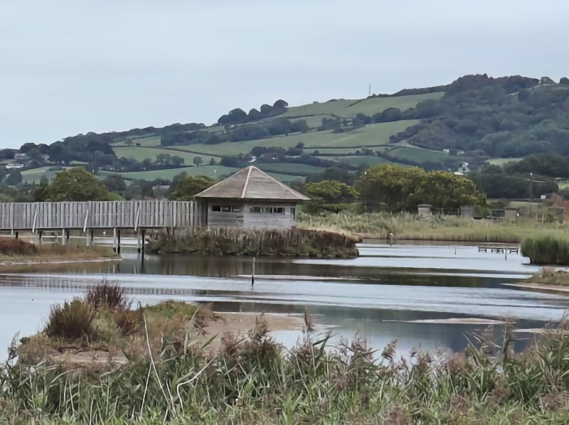 Seaton Wetland