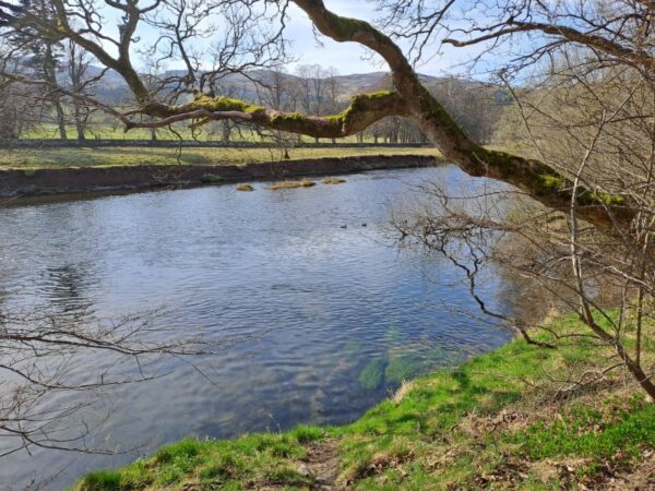 Peebles Cardrona Circular