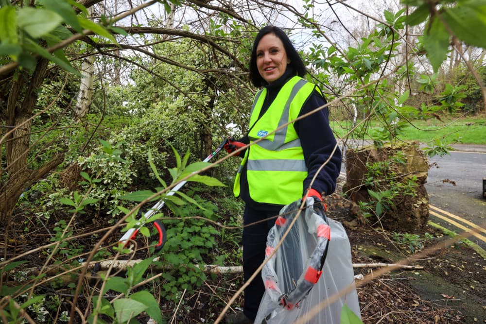 Never Get Discouraged from Picking Litter