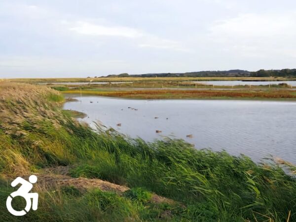 Titchwell Marsh