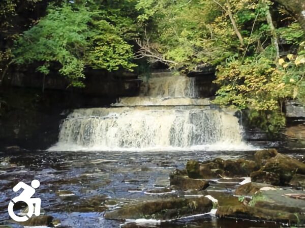 Cotter Force