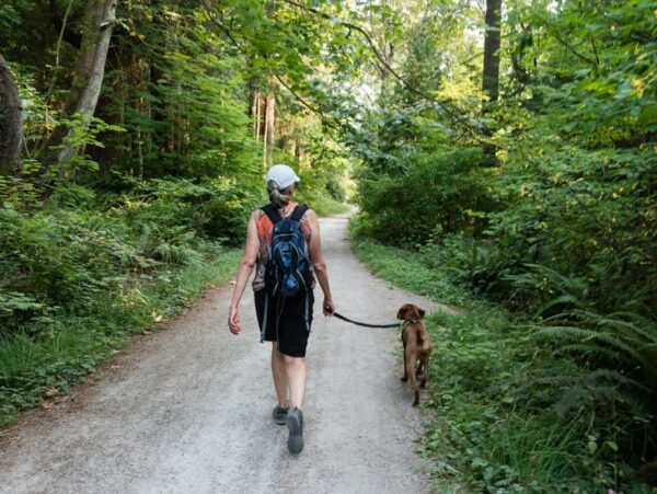Dog walking, a woman taking her dog out for a walk in the woods.