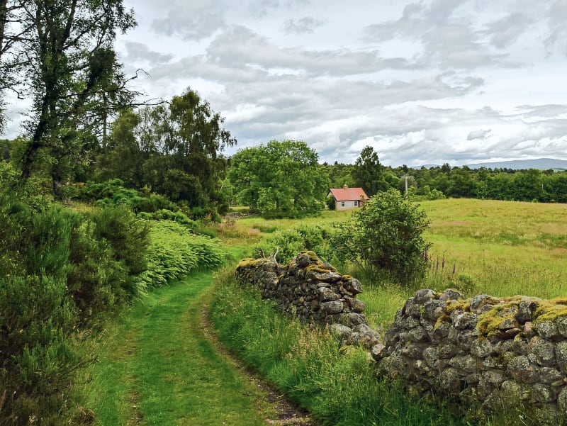 Aberdeenshire Walks