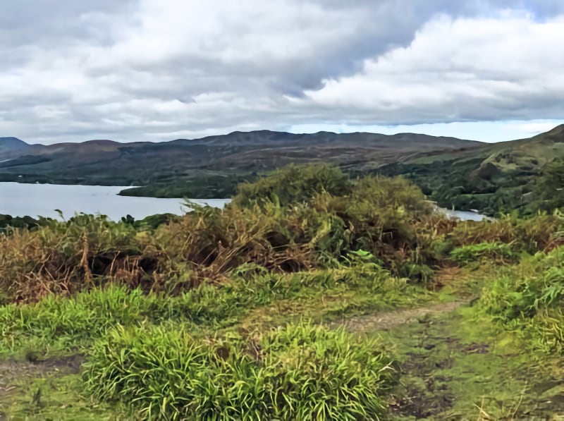 BBW Scotland