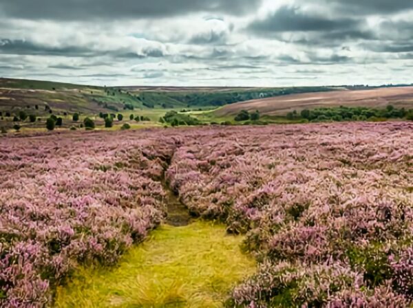 Bell End - North Dale