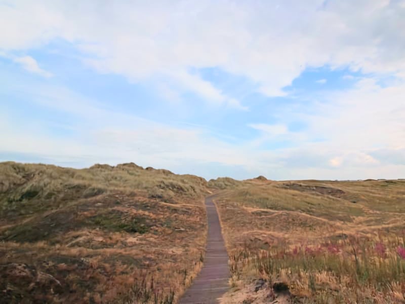 Blakeney Point