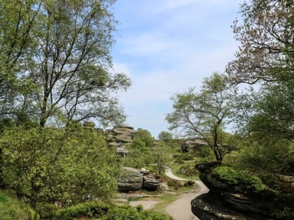 Brimham Rocks