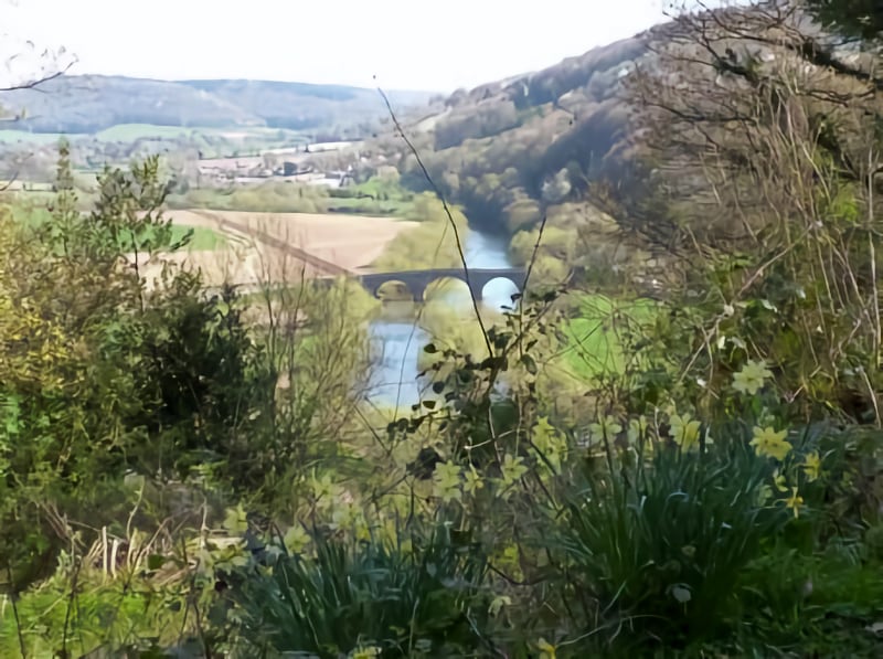 Coppett Hill