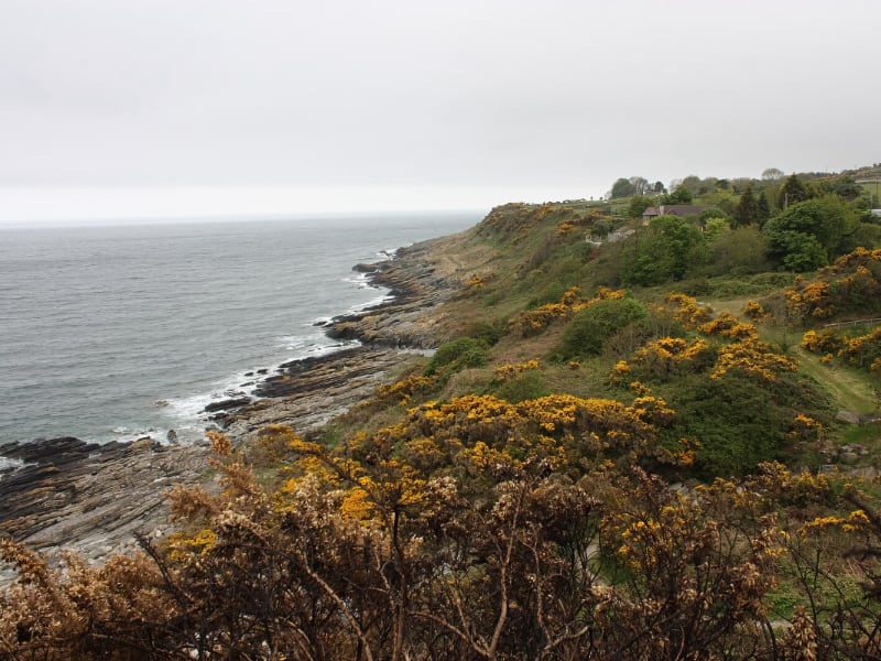 County Down Walks