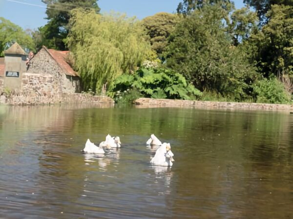 Doniford East Quantoxhead Feature Doniford East Quantoxhead