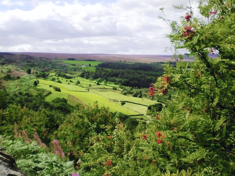 Dukes Road Walk