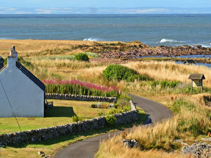 Fife Walks