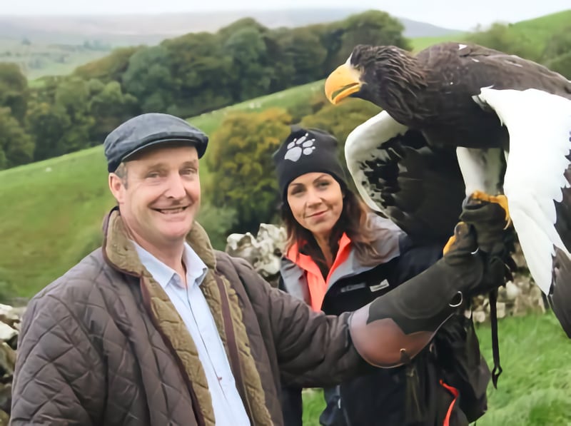 Hawk Experience