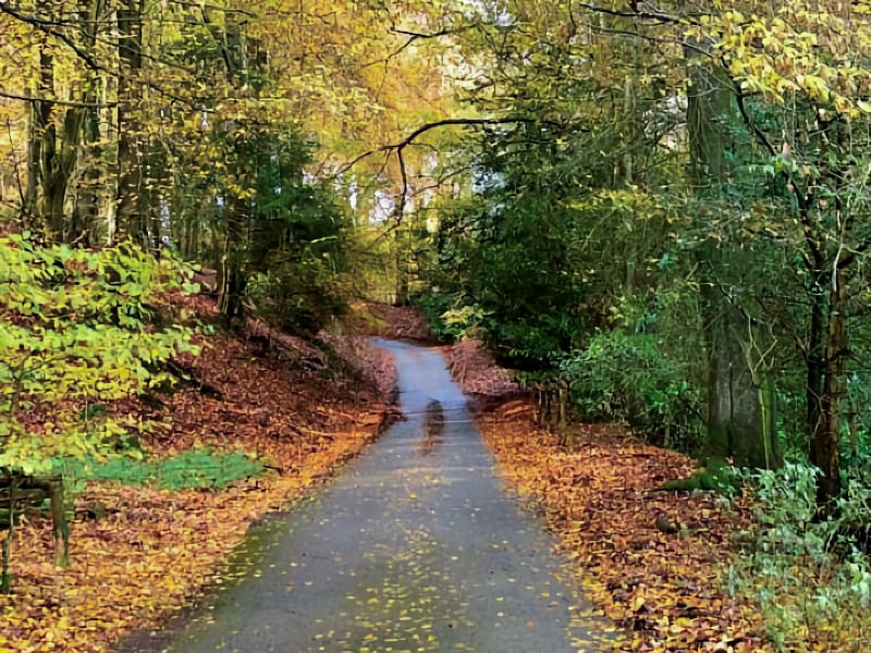 Leith Hill