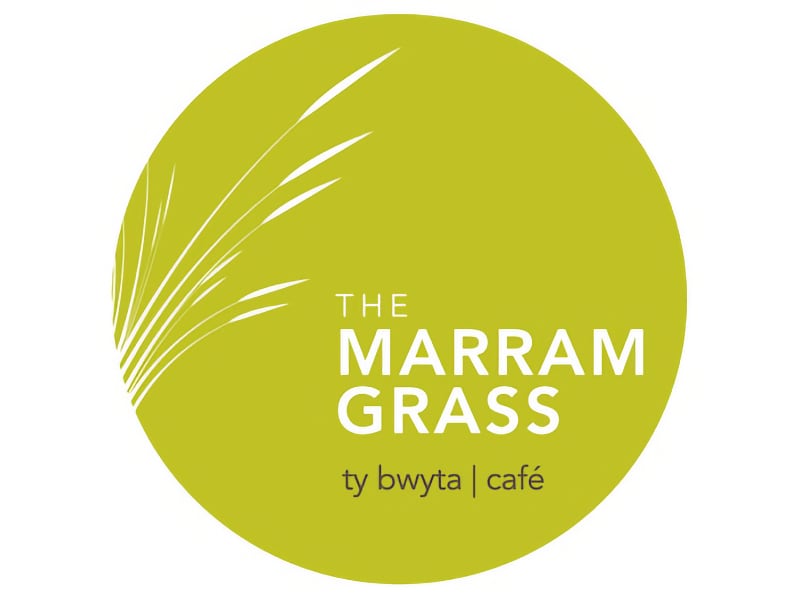 Marram Grass
