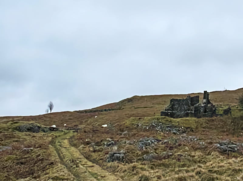 NT Dolmelynllyn