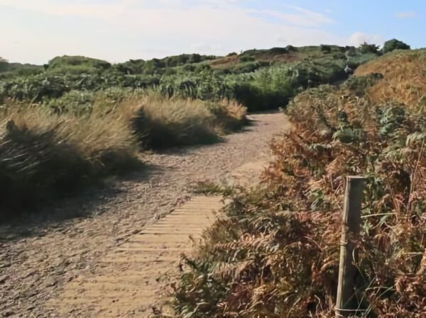 NT Dunwich Heath