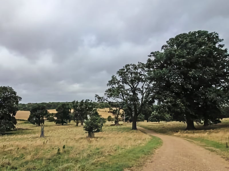 NT Ickworth