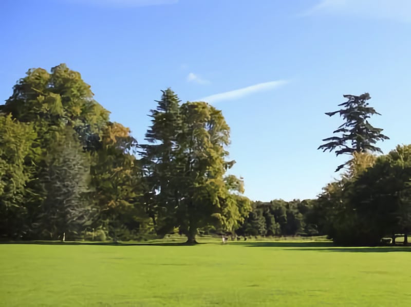 NT Wallington