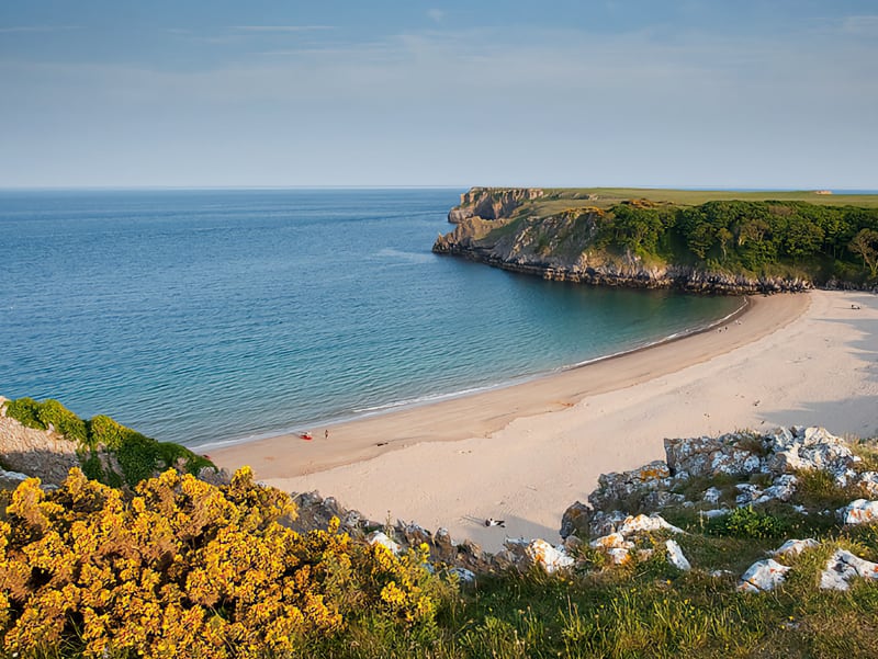 Pembrokeshire Walks