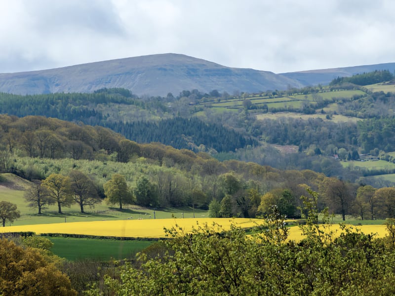 Powys Walks