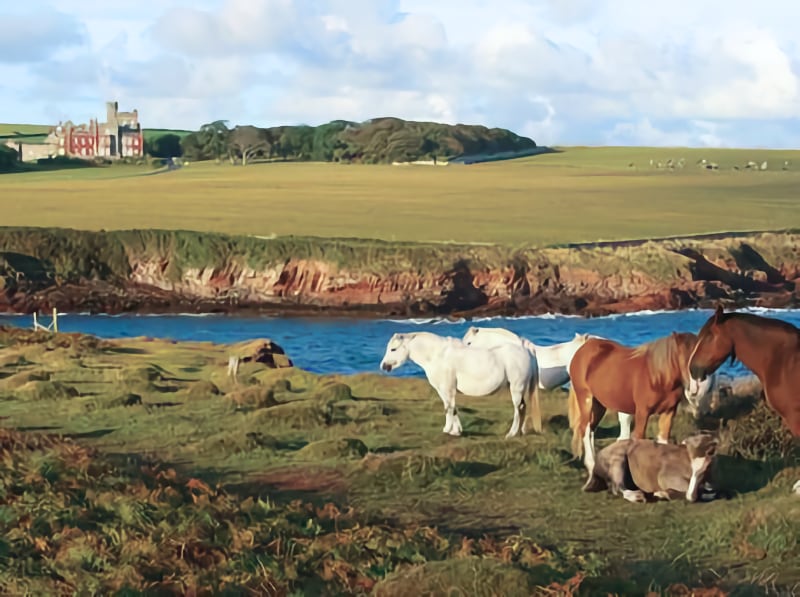 St-Brides