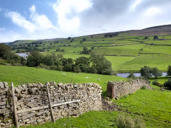 Swaledale