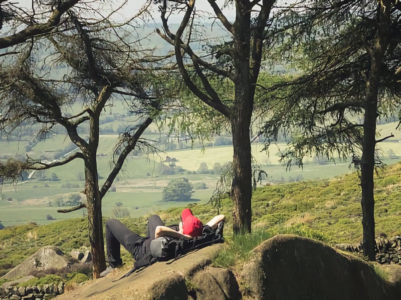 The Roaches