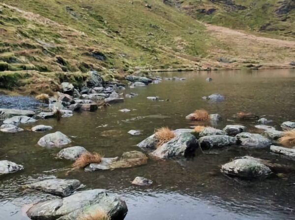 Wainwright Blencatha Feature Wainwright Blencatha