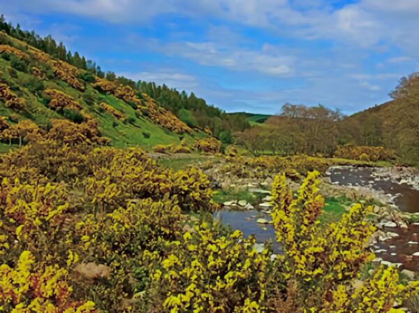 Wooler Gateway to the Cheviot