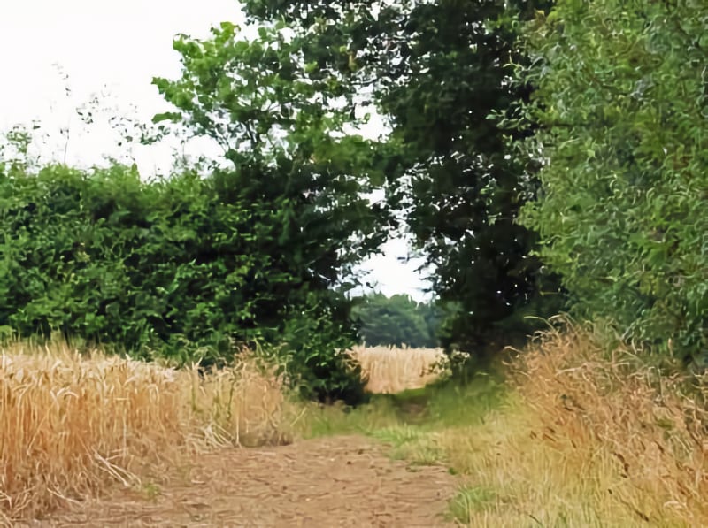 Zoes Village Walk