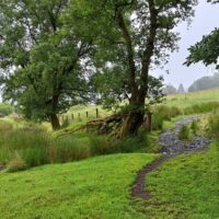 Rhyd-y benwch to Llangurig