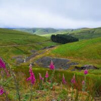 Rhyd-y benwch to Llangurig