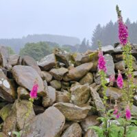 Rhyd-y benwch to Llangurig