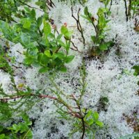 Rhyd-y benwch to Llangurig