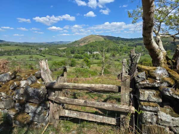 3 Rhayader to Newbridge