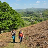 3 Rhayader to Newbridge