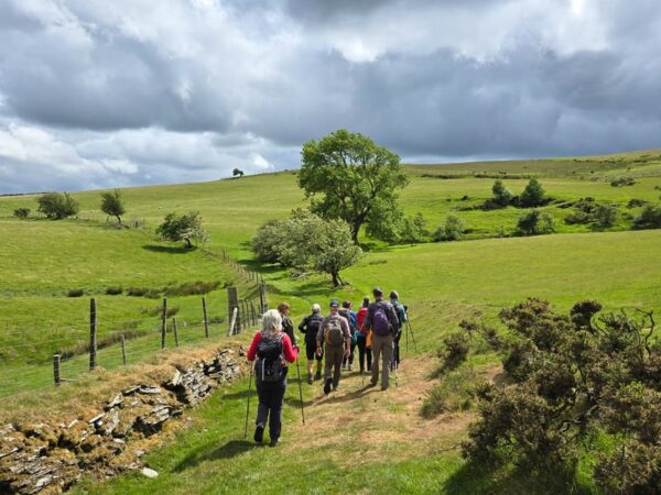 Newbridge to Builth Wells