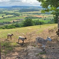 Hay to Bredwardine Merbach