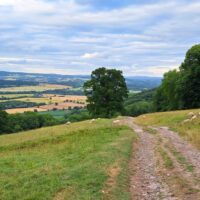 Hay to Bredwardine Merbach