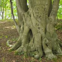 Bredwardine to Byford Monnington Mile