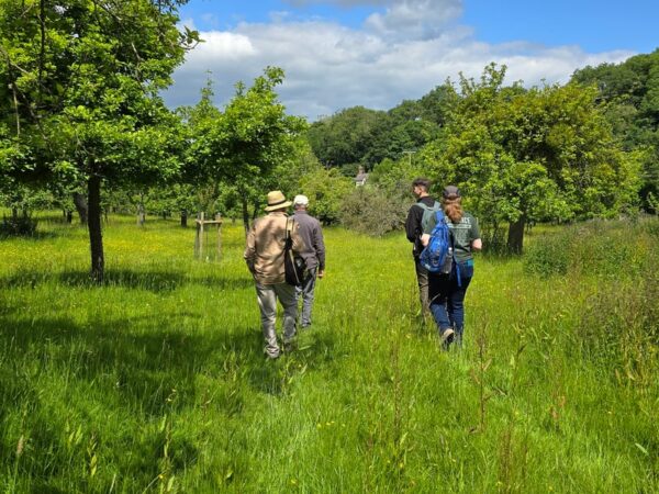 Hereford to Fownhope