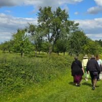 Hereford to Fownhope