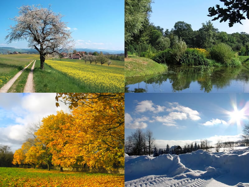 Seasonal Walks