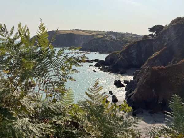 Lee Bay and Woolacombe