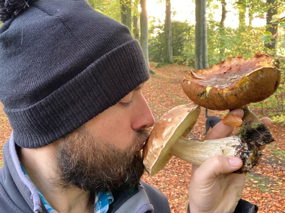 Wild Mushroom Foraging