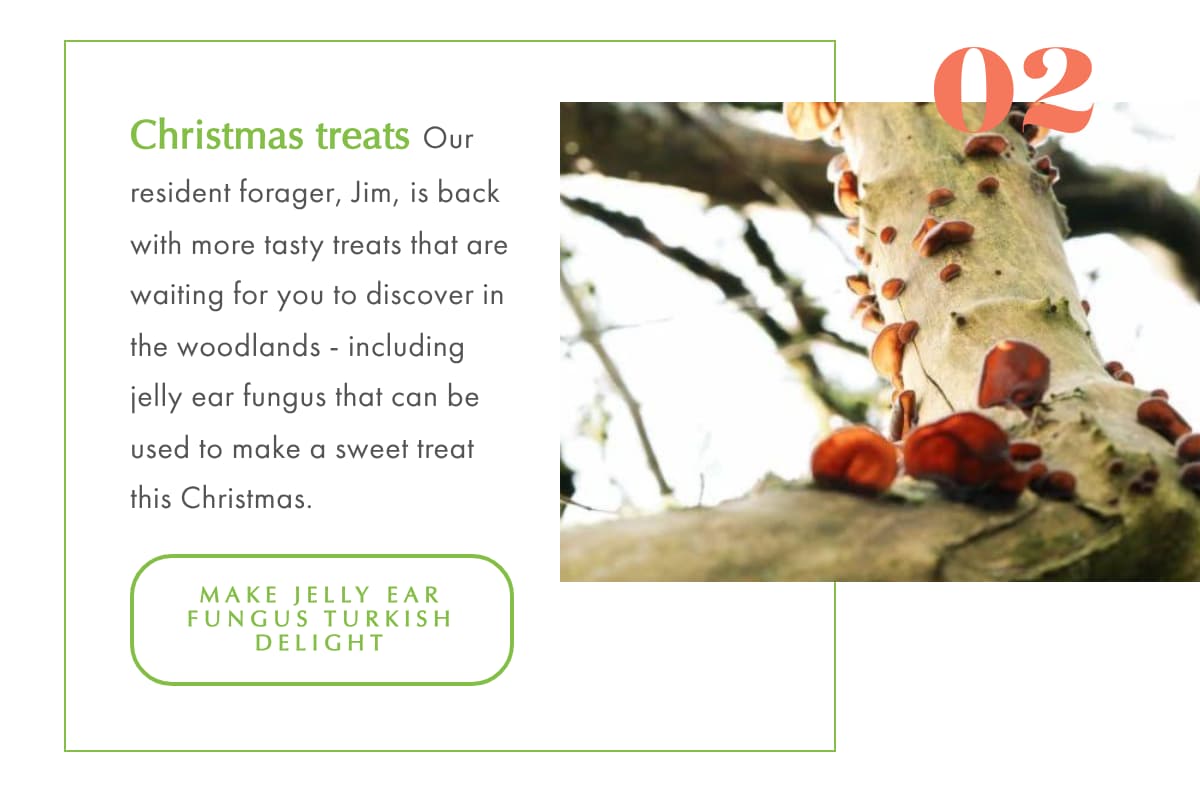 Christmas lights and night time strolls